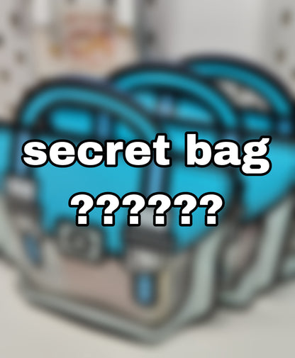 Mystery bag